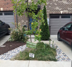 The Ugly Duckling Method - My Starting Yard 3